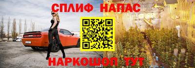 твердый Камышлов